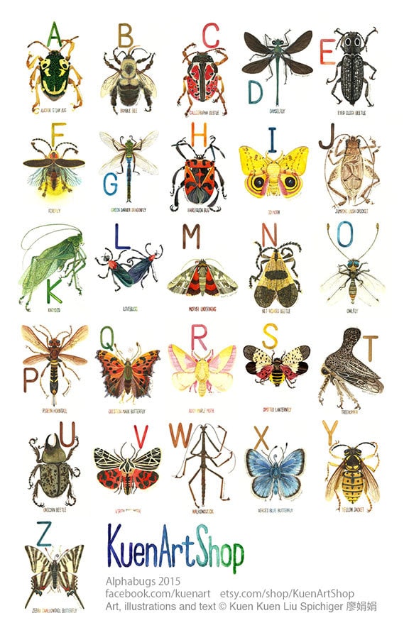 Personalized Insect Alphabet Print, Watercolor Name Art