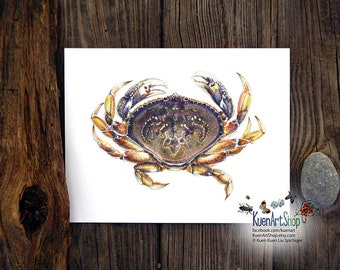 Dungeness Crab Art Print, Metacarcinus magister / Cancer magister