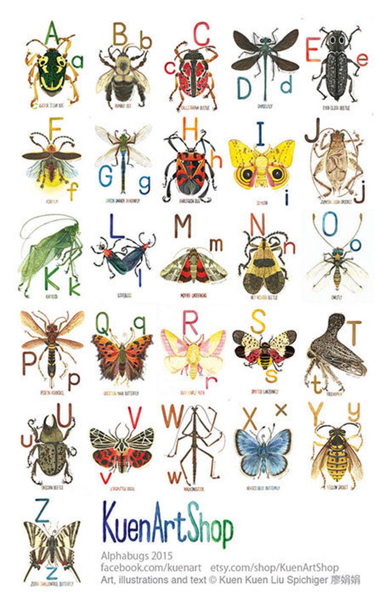 AZ 26 Insect Art Print ABC North America Insect Alphabet Etsy