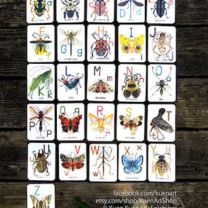 ABC Alphabug-kaarten, het alfabet van bugs Flash-kaarten A-Z, insectenalfabetletters, educatieve cadeau voor kinderen kinderkamer muur entomologie kunst