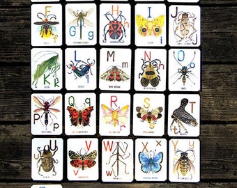 ABC Alphabug Cards, The Alphabet of Bugs  Flash Cards A-Z, Insect Alphabet Letters, Children's Educational Gift Nursery Wall Entomology Art