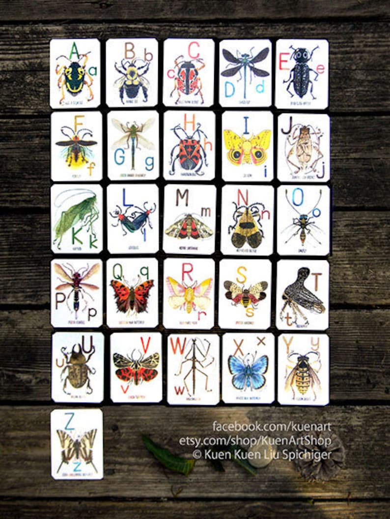 ABC Alphabug Cards, the Alphabet of Bugs Flash Cards AZ, Insect