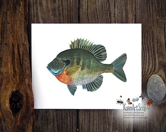 Fish Art Print & Original, Bluegill, Brook Trout, Brown Trout, Coho Salmon, Golden Rainbow, Rainbow, Rock Bass, Walleye, Yellow Perch