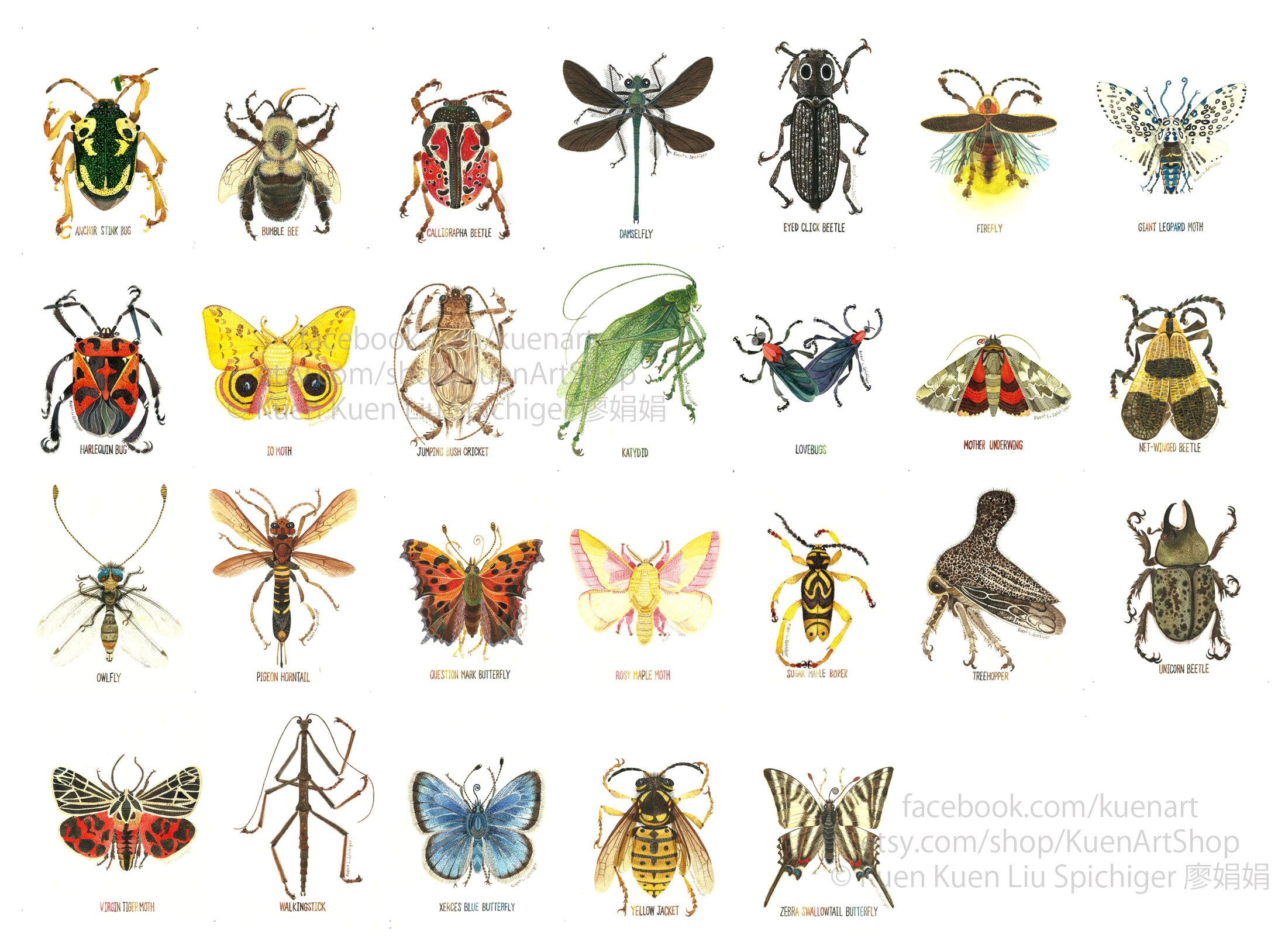 Insect Customized Custom Personalized Insect Art Print, Wedding Anniversary Valentine's ...