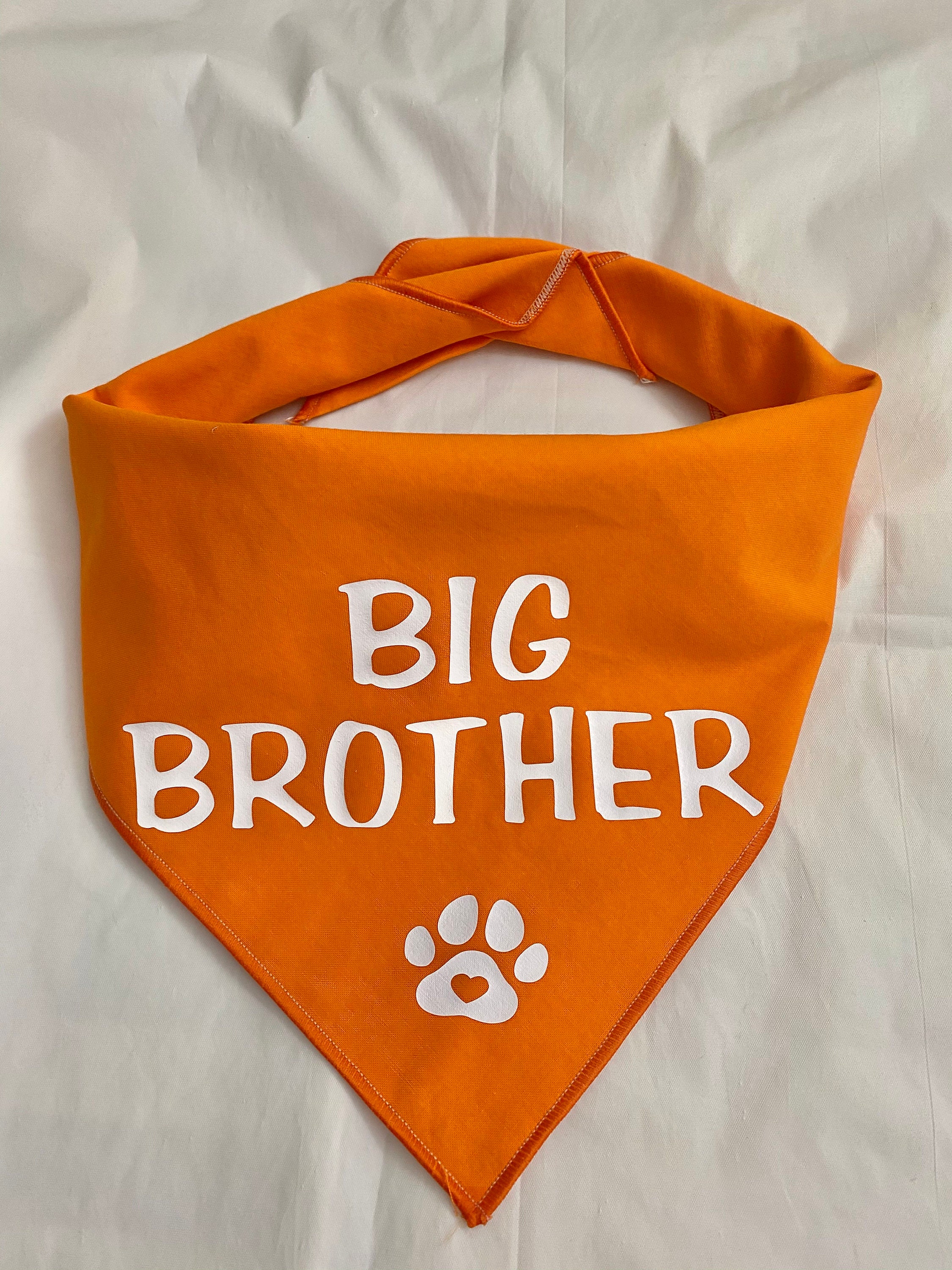 Big Brother Dog Bandanna Tieon Dog Bandanna Baby Etsy France
