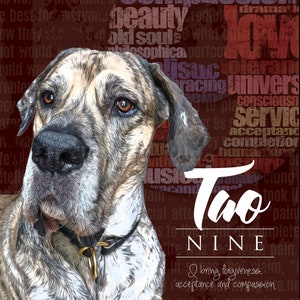 Numerology Pet Portrait