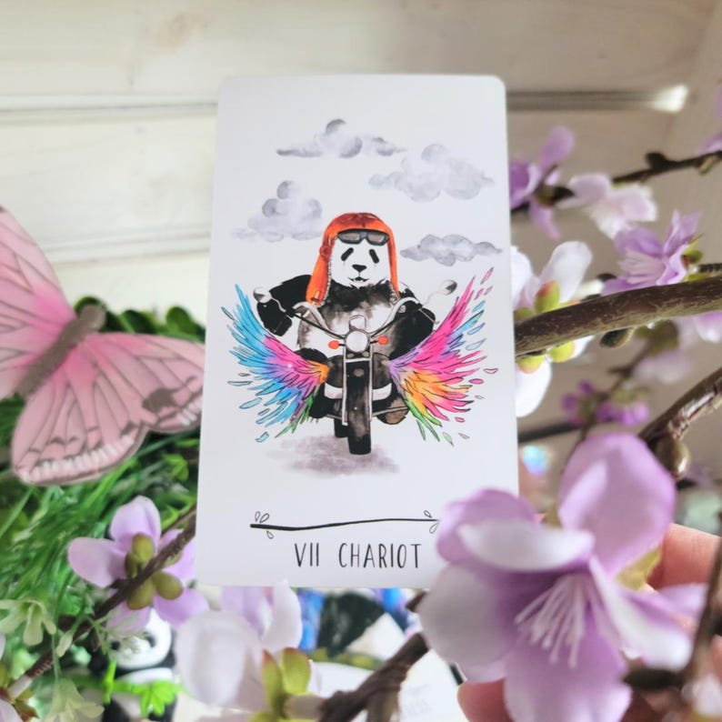 May include: A tarot card with a panda wearing a red helmet and riding a motorcycle with rainbow wings. The card is titled "VII CHARIOT".