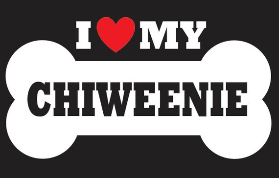 i love my chiweenie