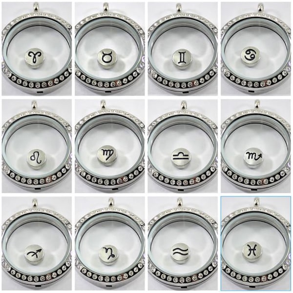 Floating Birthstone Charm (Silver