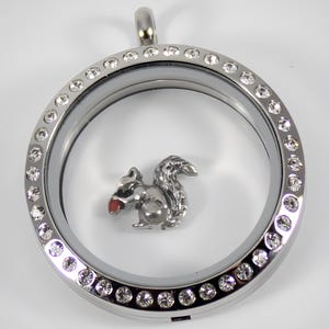 Squirrel Floating Charm for Glass Locket