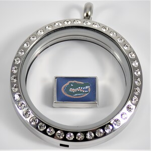 May include: Silver locket with a clear crystal-encrusted bezel and a small square charm featuring a green alligator head on a blue background.