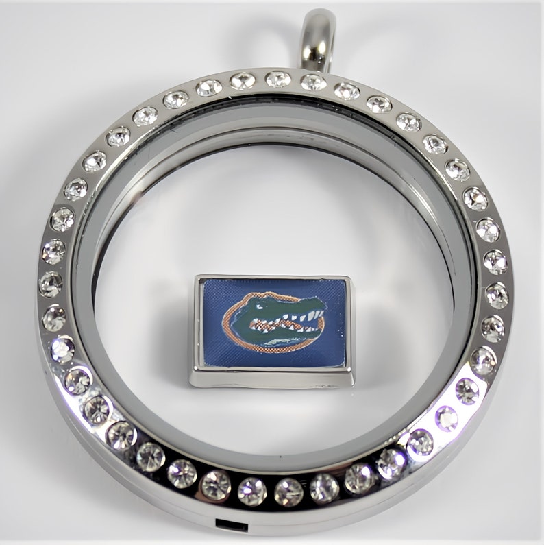 May include: Silver locket with a clear crystal-encrusted bezel and a small square charm featuring a green alligator head on a blue background.