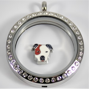 Pit Bull Floating Charm for Glass locket