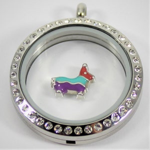 Pinata Floating Charm for Glass Locket