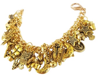 May include: A gold charm bracelet with a variety of charms, including stars, hearts, moons, clovers, and feathers.