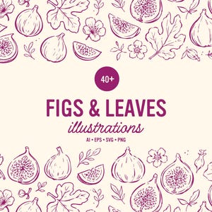 May include: A digital graphic set featuring purple line art illustrations of whole figs, sliced figs, and fig leaves on a cream background. The central text reads 40+ FIGS & LEAVES illustrations AI EPS SVG PNG in a purple sans-serif and script font.