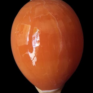 Puede incluir: Una concha marina lisa, brillante y de forma ovalada con una superficie de color naranja vibrante. La concha presenta una textura pulida y reflectante con sutiles patrones de vetas más claras en su exterior redondeado sobre fondo negro.