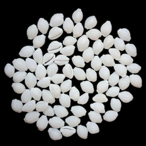 Puede incluir: Una colección de numerosas conchas de cauri pequeñas y blancas dispersas por el marco. Cada concha presenta una superficie lisa y brillante con una forma ovalada alargada característica y una abertura de hendidura central.