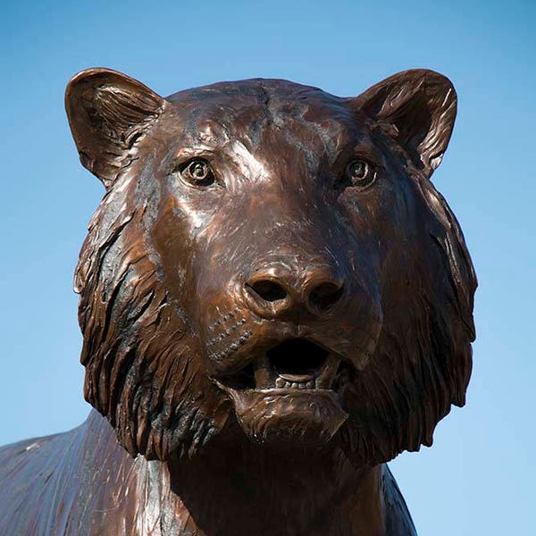 Digital Photo Download, Bronze Statue Photo, Mizzou Tiger, Home Decor, Statute Photo, Columbia Missouri Tigers, Fine Art Print