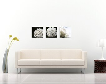 White and Green Laurustinus Viburnum Photo, Viburnum tinus, Stretched Canvas, Macro Photography, Canvas Photograph, Fine Art Print, Set of 3