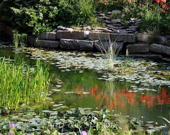 Fine Art Print, Green and Orange Reflection in Pond Photograph, Reflection of Flower, Water Photograph, Home Decor, Nature Photography