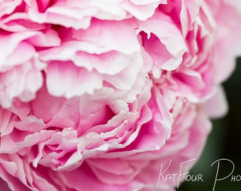 Photo Print, Pink and White Peony Photo, Floral Decoration, Home Decor, Kid's Room Decor, Macro Photography, Children's Room