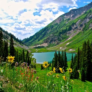 Emerald Lake, Crested Butte, Colorado summer photograph  | Print, Canvas, Metal & Acrylic | Custom Orders available | 91 Perks Photo