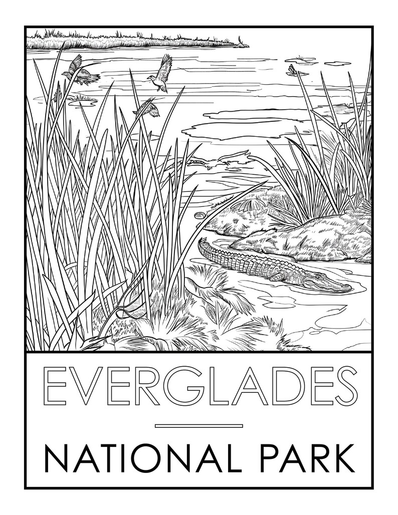 Everglades National Park Coloring Page Etsy