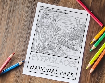 Página para colorear del Parque Nacional Everglades