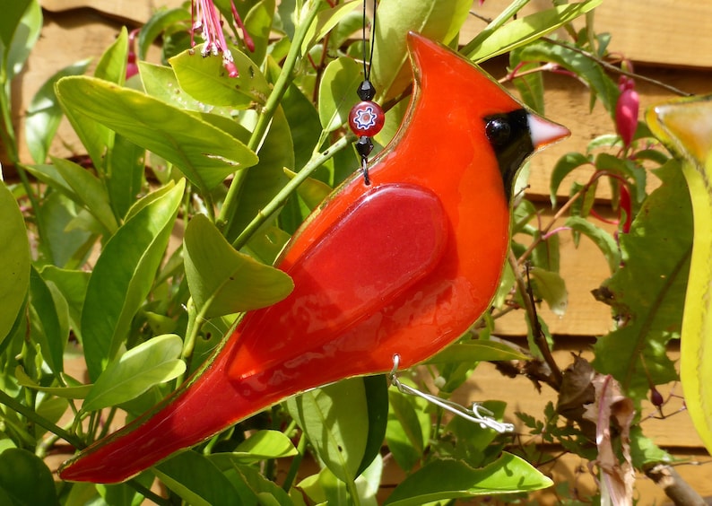 Red cardinal bird gift bird lover gift colourful bird Etsy