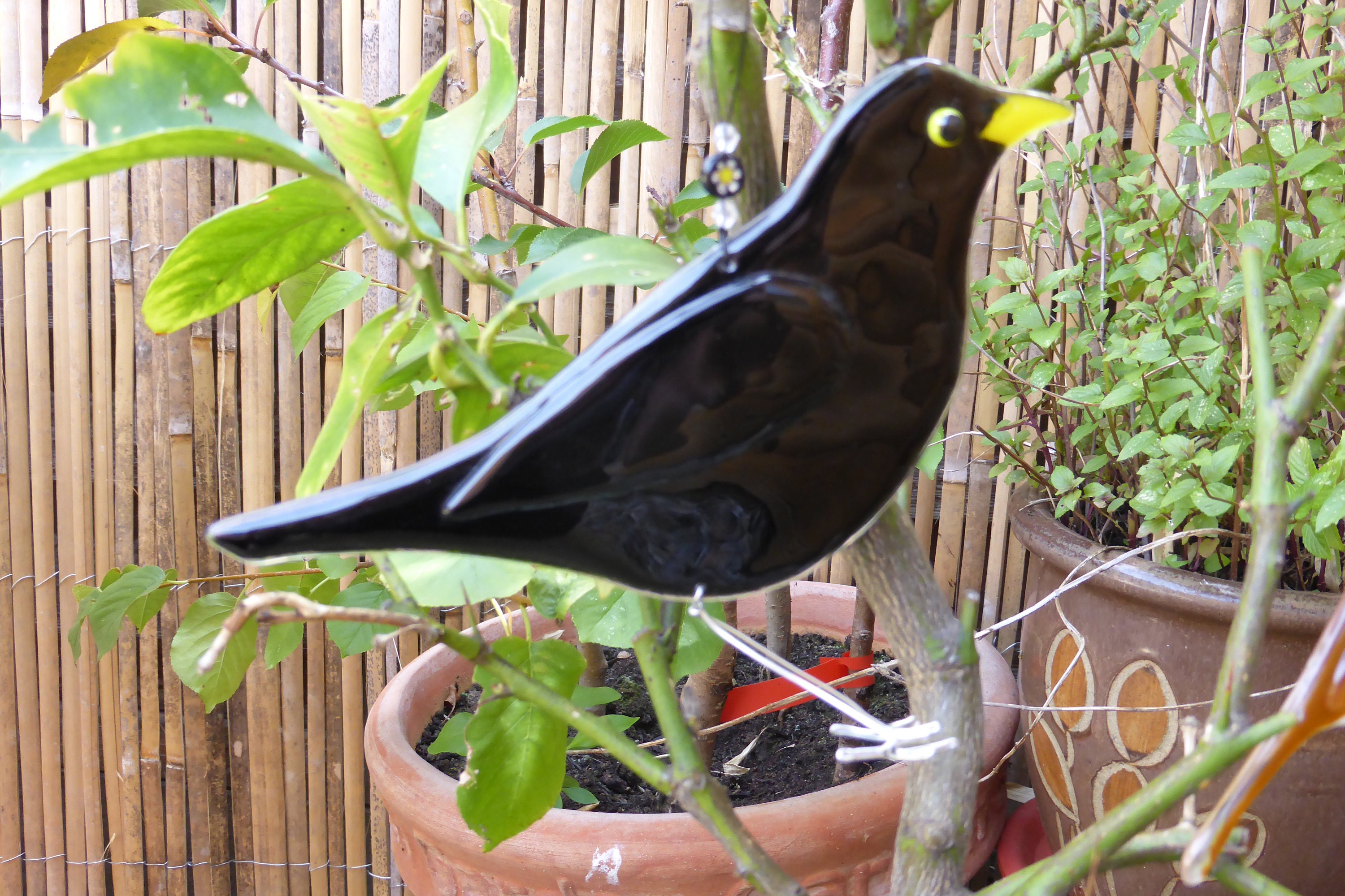 Fused glass blackbird garden ornament bird ornaments Etsy