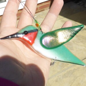 Ruby Throated Hummingbird, Bird Lover Gift, Garden Birds, Nature Lover ...