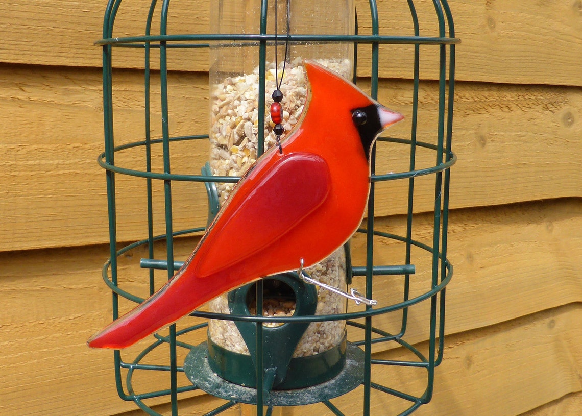 Red Cardinal Bird Gift Bird Lover Gift Colourful Bird Etsy