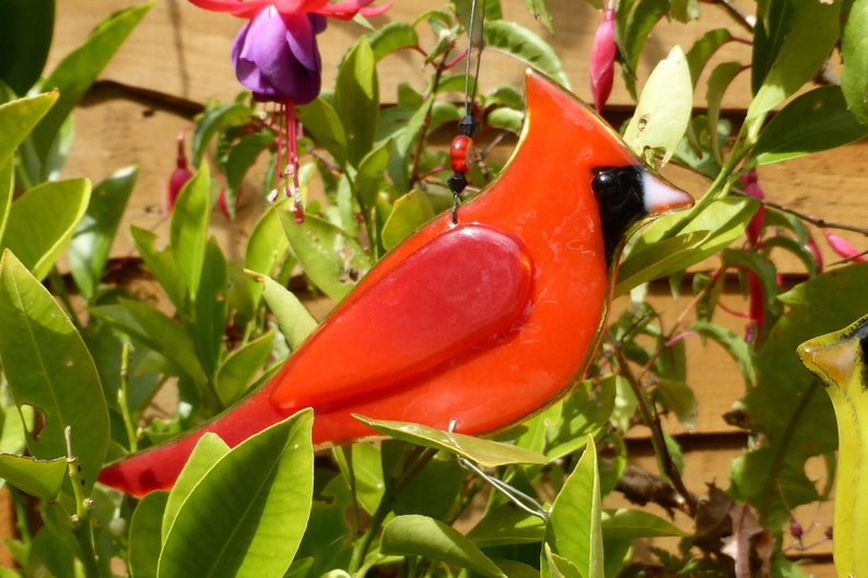 Red cardinal bird gift bird lover gift colourful bird Etsy