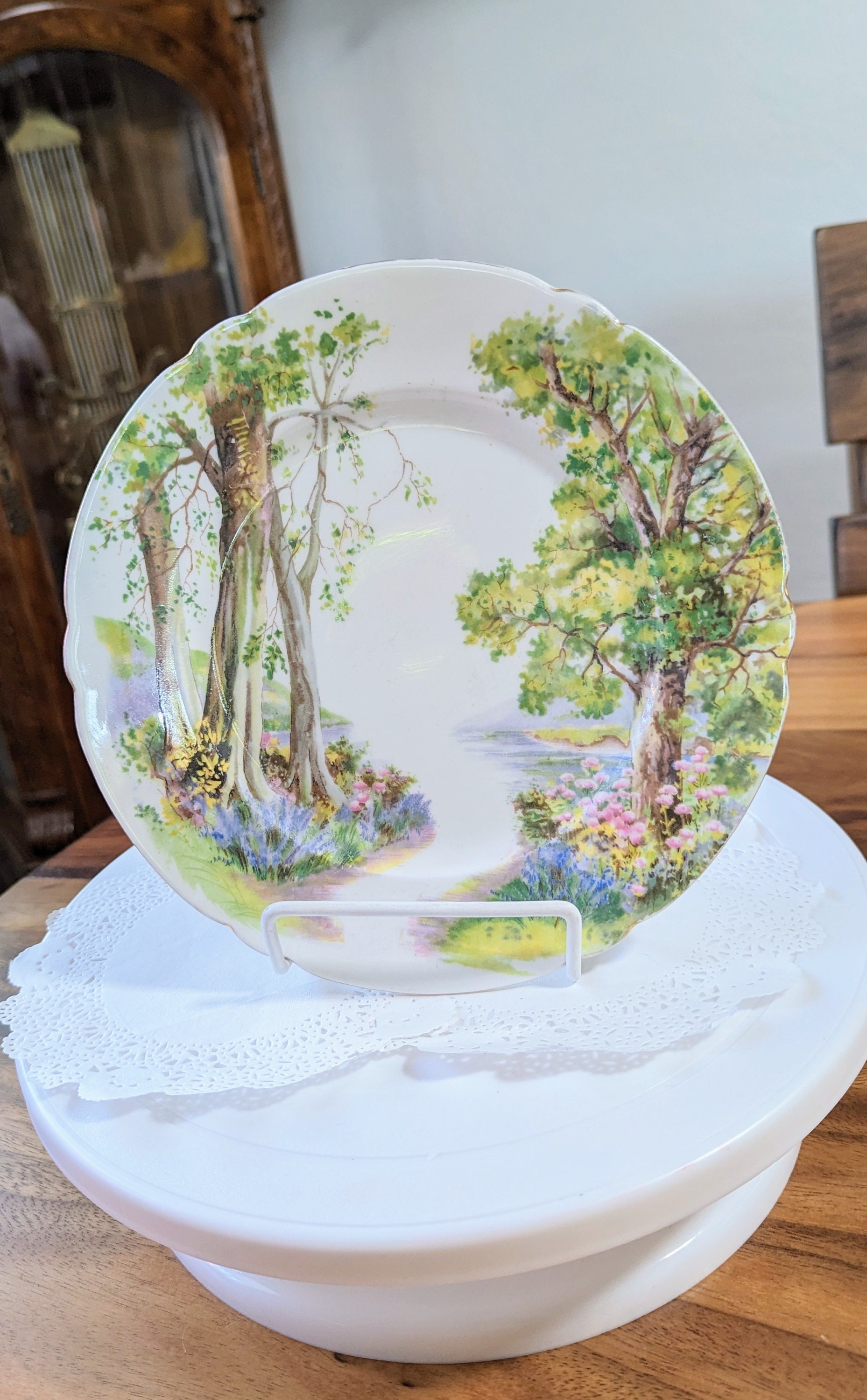 Rare- Shelley- Woodland- Plate- English- Porcelain- 8 Inch