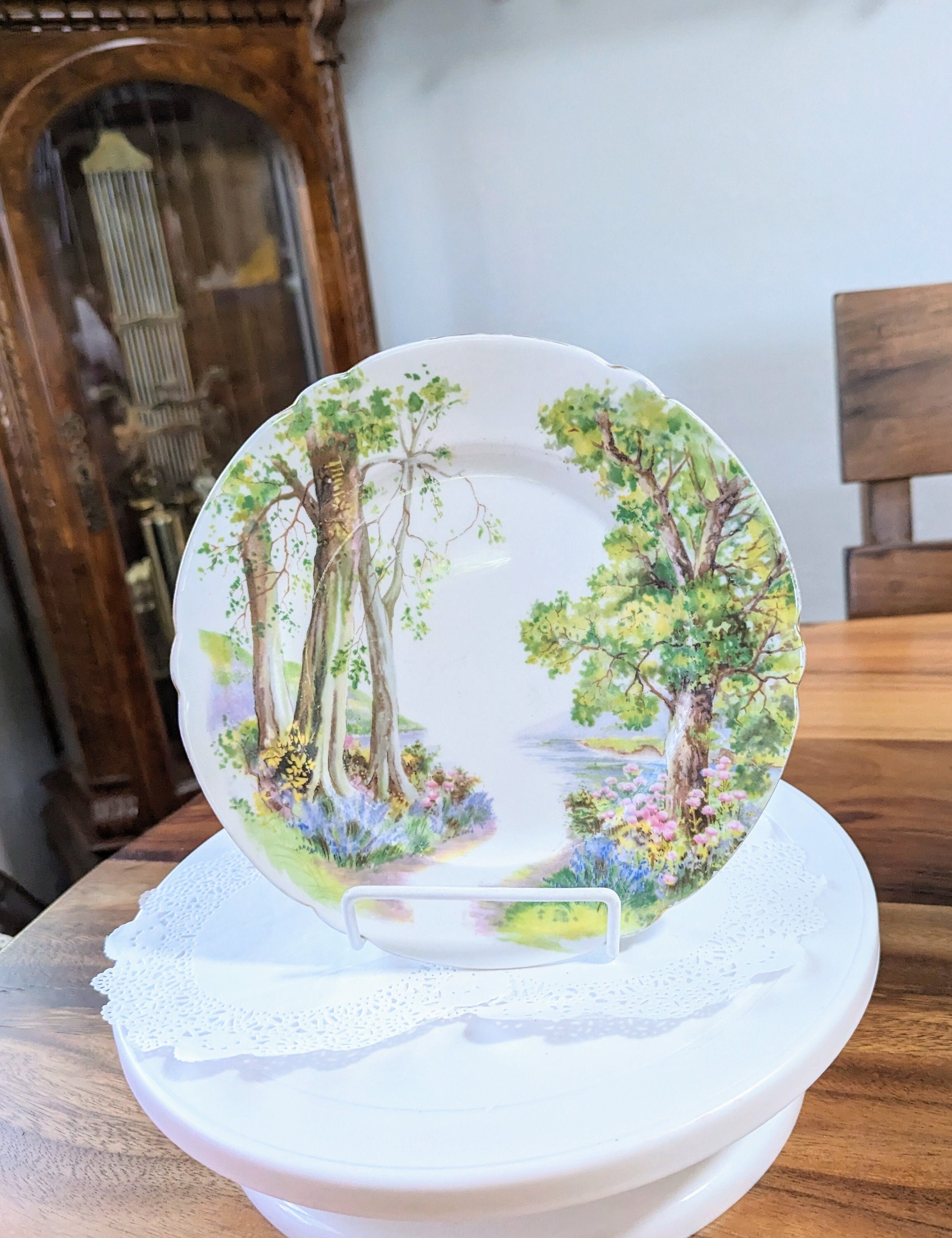 Rare- Shelley- Woodland- Plate- English- Porcelain- 8 Inch