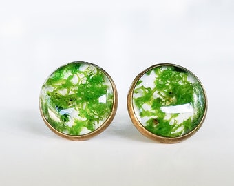 Moss earrings resin nature lover real moss earrings moss stud earrings nature jewelry botanical earrings moss jewelry homemade gifts woman