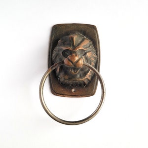May include: A bronze lion head door knocker with a circular ring pull. The knocker is mounted on a rectangular plate.