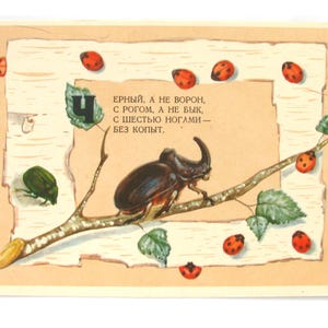 Besouro, Cartão postal russo não utilizado, Animal, Enigma, Cartão postal vintage soviético, Ilustração, Dudnikov, URSS, 1962, década de 1960