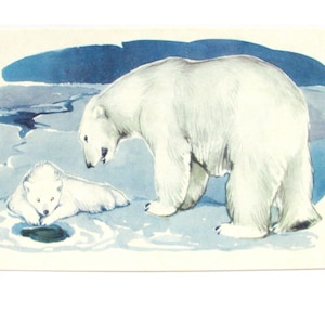 Ursos polares, Cartão postal não utilizado, Animal, Ilustração, Inverno, Fauna, Cartão postal soviético vintage, Alexeev, 1972, feito na URSS, década de 1970