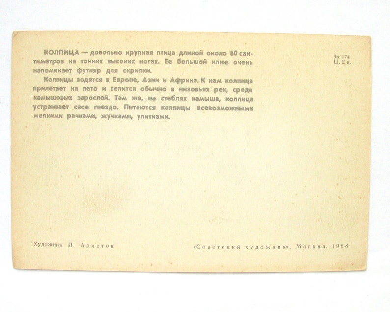 1968 Unused Postcard Bird Russian USSR Illustration by Aristov Soviet Vintage Postcard Spoonbill
