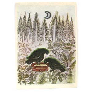 Grouse, ongebruikte ansichtkaart, regenboog, bos, vogel, Sovjet vintage ansichtkaart, marshak, verhaal, illustratie, Vasnetsov, niet-ondertekend, Sovjet-Unie, 1970