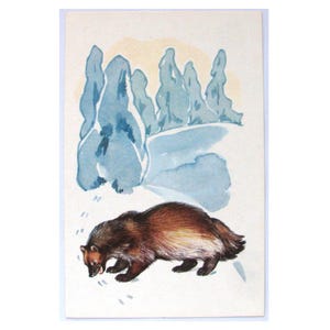Carcajou, carte postale inutilisée, animal, illustration, hiver, faune, carte postale vintage soviétique, Alexeev, 1972, fabriquée en URSS, années 1970