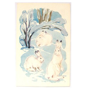 Liebre blanca, postal sin usar, animal, ilustración, invierno, armiño, fauna, postal soviética antigua, Alexeev, 1972, fabricada en la URSS, década de 1970