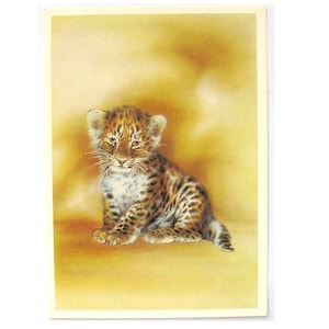 Giovane leopardo, cartolina inutilizzata, illustrazione, non firmata, cartolina d'epoca sovietica, Isakov, 1989