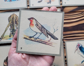 Könnte beinhalten: Eine Vintage-Karte mit einer Illustration eines kleinen, braun-weißen Vogels mit roter Brust, der auf einem Ast sitzt. Die Karte ist mit der Nummer 7 versehen.
