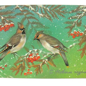 Cartão de Feliz Ano Novo, Pássaros, Natal, Inverno, Natal, Bombardeiro, Não utilizado, Cartão postal soviético vintage, Isakov, 1986, URSS, década de 1980