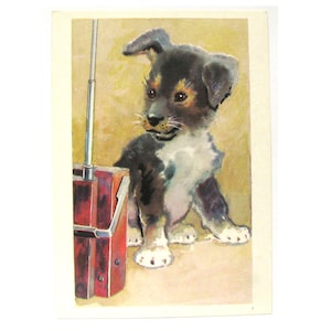 Filhote de cachorro, Cartão postal não utilizado, Cachorro, Ilustração, Hambúrguer, Não assinado, Cartão postal vintage soviético, URSS, 1975, 1970, 70s