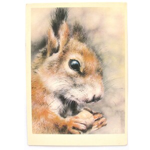 Cartão de Natal soviético, Cartão postal vintage soviético, Esquilo, Inverno, Natal, Animal, Cartão postal não utilizado, Ilustração, Isakov, 1989, URSS