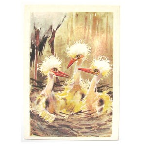 Filhotes de cegonha, Cartão postal de parabéns, sem uso, Ilustração de Hamburger, sem assinatura, Cartão postal soviético vintage, URSS, 1987